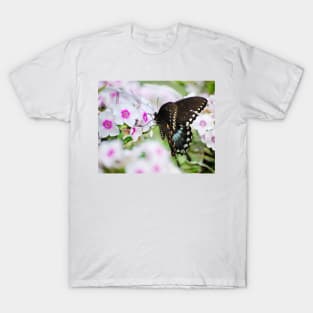 Phlox & Butterfly T-Shirt